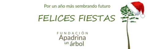 La Fundación Apadrina un Árbol felicita la Navidad agradeciendo cada gesto que hace 