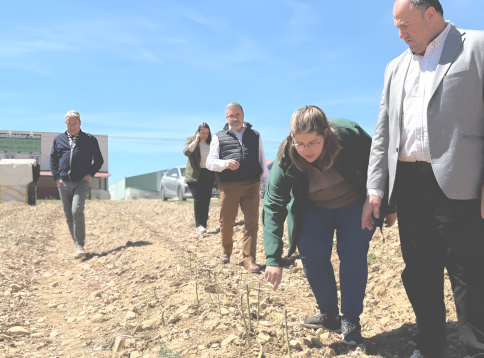¿CÓMO SOLICITAR LAS AYUDAS?: 30 millones para el relevo generacional y la modernización del campo