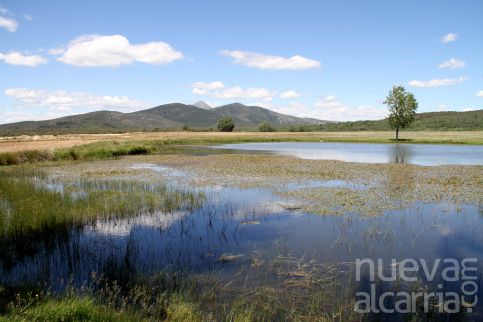 La Sierra Norte de Guadalajara demuestra que la despoblación se puede revertir