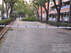 El Ayuntamiento cierra los parques por el aviso amarillo de nevadas y fuertes vientos