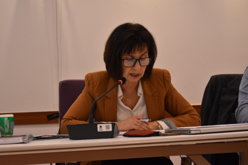 El PSOE lamenta que Guarinos se oponga a destinar una línea de ayudas directas a los comercios