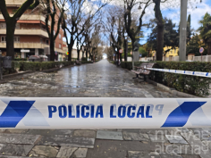 El Ayuntamiento de Guadalajara cierra preventivamente parques y zonas arboladas ante el aviso amarillo por fuertes vientos