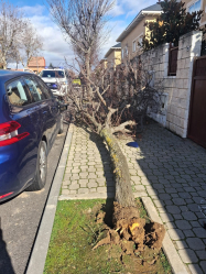 El Ayuntamiento de Cabanillas pide precaución en domicilios, parques y en torno al  arroyo 