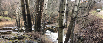 No es en Grazalema, es en la Sierra de Guadalajara
