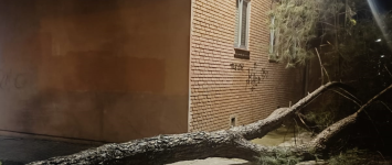 El temporal Leonardo deja daños visibles en Guadalajara