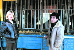 La llegada del Gran Circo de Bárbara Rey y Ángel Cristo a la ciudad de Guadalajara en el año 1985