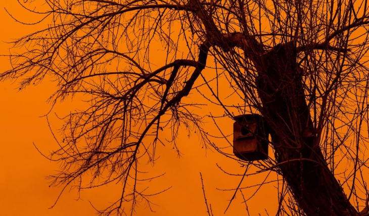 La borrasca Regina traerá lluvia de barro y viento a la provincia y Corredor del Henares