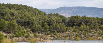 Las reservas en Entrepeñas y Buendía suben 24,19 hectómetros hasta acumular 1.639,67, el 65,11% de su capacidad