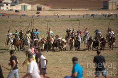 Esta es la popular ganadería de Guadalajara que organizará los espantes de Fuentesaúco 