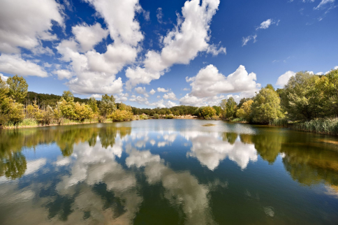 La Muela de los califas