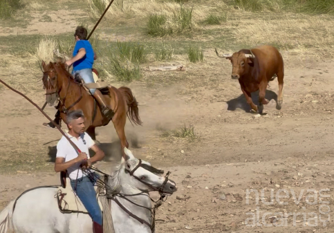 Los dos primeros encierros por el campo de la provincia ya tienen fecha