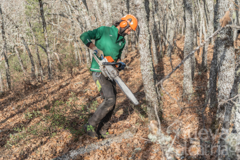 ADAC, la Fundación General de la UA y Cesefor obtienen más de 800.000 euros para impulsar la bioeconomía local en áreas de extrema despoblación
