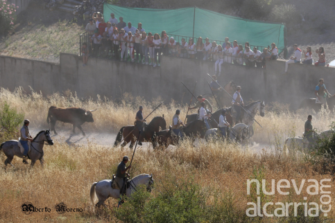 Joselito no seguirá al frente del tradicional encierro por el campo de Brihuega