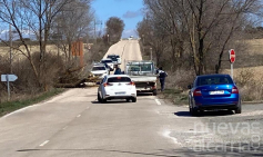 La caída de un árbol corta el tráfico en la C-114, junto a la ITV de Alcolea