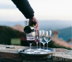 Fundación Ibercaja programa catas, exposiciones, cocina, música, divulgación y ópera