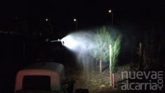 El Ayuntamiento de Azuqueca actúa contra la procesionaria del pino