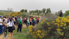 Más de 180 senderistas participan en la ruta de Campiñeando entre Málaga del Fresno y Robledillo de Mohernando