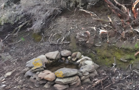 El agua de la Fuente de las Vaquerizas devuelve el latido de las pequeñas cosas a la Sierra del Ocejón