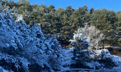 Campisábalos, con 3,3 grados, entre los municipios con la mínima más baja este sábado