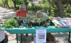 Primavera de plantas y libros en Cabanillas del Campo