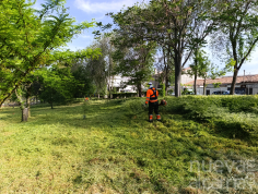 Guadalajara refuerza los trabajos de desbroce ante el rápido crecimiento de la vegetación por las lluvias