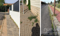 El Ayuntamiento de Cabanillas apremia a la empresa de limpieza viaria, para que elimine cuanto antes las malas hierbas de la vía pública