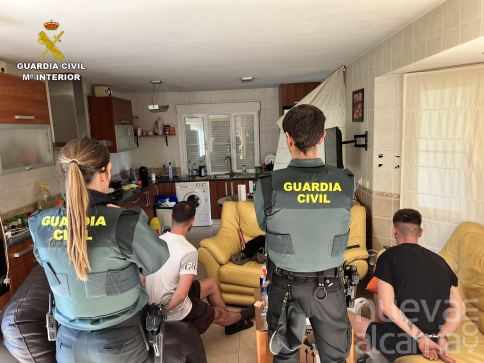 Guardia Civil decomisa 1.194 plantas de marihuana de una casa de Uceda y detiene a dos varones