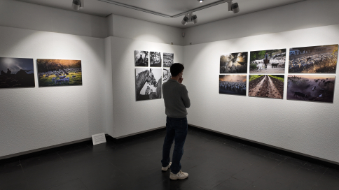 Fundación Ibercaja Guadalajara presenta la exposición Yerba el corazón verde de la trashumancia