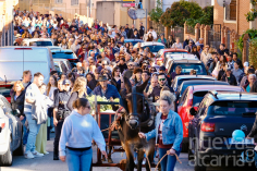 Multitudinaria Fiesta de La Espiga en Azuqueca
