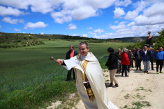 Cogolludo reivindica el mundo rural y la agricultura por San Isidro