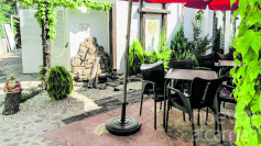 Zoo Bar