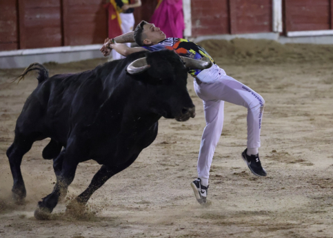 Aparatosa cogida en el III Trofeo Feria Chica de Guadalajara