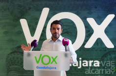 VOX pide que la Junta asuma el coste de las antenas de televisión en zonas despobladas