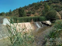 Los Ribereños y la Cátedra del Tajo impulsan un estudio para restaurar el río Ompolveda en Pareja