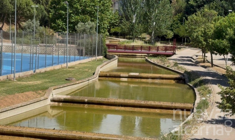 El Ayuntamiento de Guadalajara pone en marcha una nueva campaña de control de mosquitos y otros insectos