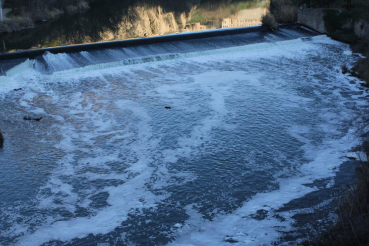 Las bacterias resistentes colonizan todo el tramo medio del río Tajo