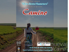 El arte Flamenco se vuelve solidario con el espectáculo “Camino”