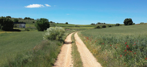 La Diputación destina casi 1,2 millones al arreglo de caminos rurales de 92 pueblos en 2026 