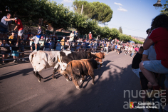 Yunquera de Henares encara el final de las fiestas de San Pedro tras un intenso fin de semana de música, deporte y tradición