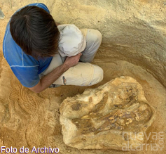 El hallazgo de 40 dientes de dinosaurio en Algora reescribe la ruta de estos animales en hemisferio norte