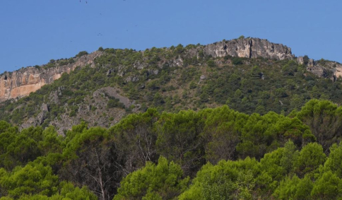 Declarado un incendio forestal en Peña del Reloj, en Sacedón