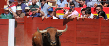 Los encierros de Ferias estrenarán un sistema de invitaciones para el acceso a la Plaza de Toros