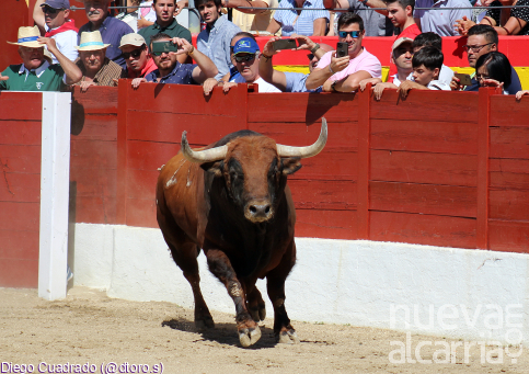 Los encierros de Ferias estrenarán un sistema de invitaciones para el acceso a la Plaza de Toros