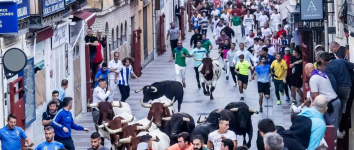 Los encierros de Guadalajara refuerzan su prestigio con una apuesta por las ganaderías