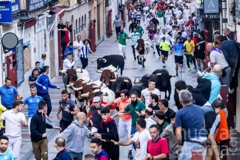 Los encierros de Guadalajara refuerzan su prestigio con una apuesta por las ganaderías
