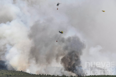 Suspendido el programa educativo de Umbralejo por el incendio en la Sierra Norte de Guadalajara