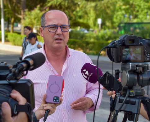El PSOE pide que el dinero del proyecto para el entorno de la calle Cardenal González de Mendoza se destine a mejorar los barrios