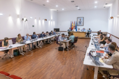 Guadalajara aprueba inicialmente su nueva Ordenanza de Convivencia que incorpora medidas contra la explotación sexual