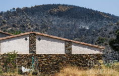 Después del fuego