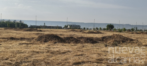 El Ayuntamiento de Azuqueca desbroza parcelas privadas para reducir el riesgo de incendios